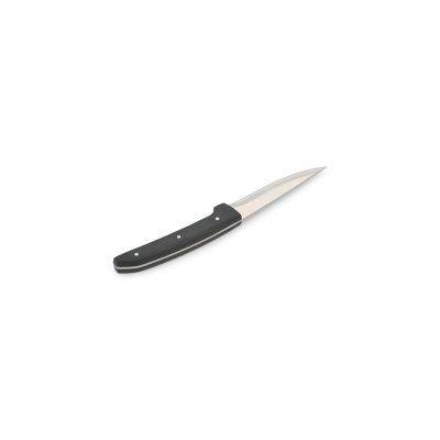 [790020] Steakmesser Satin Carne, 23 cm