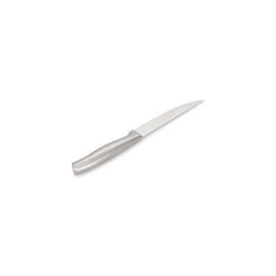 [790023] Steakmesser Carne aus Edelstahl, 24,5 cm