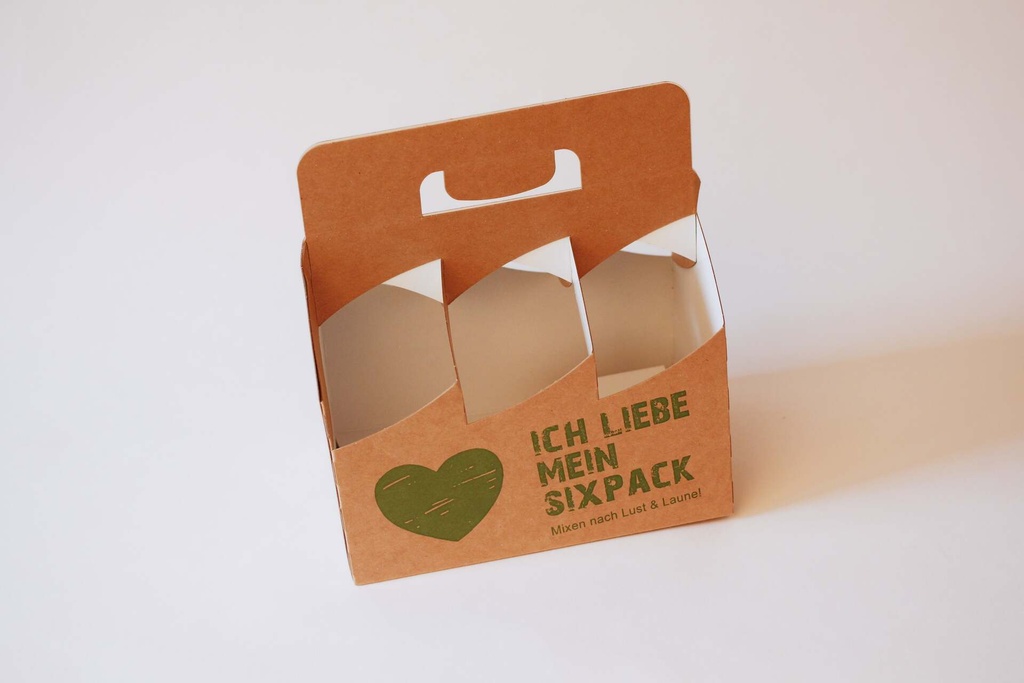 Bierträger 6er 21×14×22,7 cm – 120 Stück