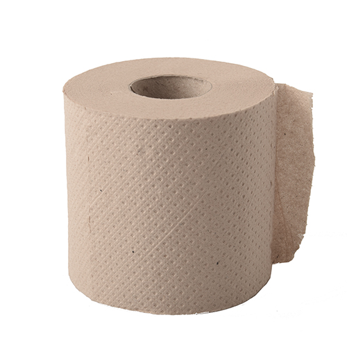 [37301] 48 Rollen Toilettenpapier Tissue 10 cm x 9,5 cm hellbraun "soft" 2-lagig, 300 Blatt, Recycling