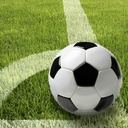 10 x 20 Servietten, 3-lagig 1/4-Falz 33 cm x 33 cm "Football"