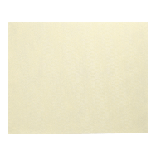 [82319] 6 x 100 Tischsets, stoffähnlich, Vlies "soft selection" 30 cm x 40 cm creme