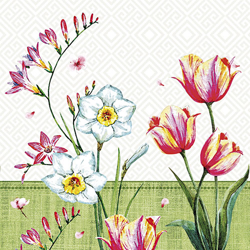 6 x 100 Servietten, 3-lagig 1/4-Falz 33 cm x 33 cm "Florentina"