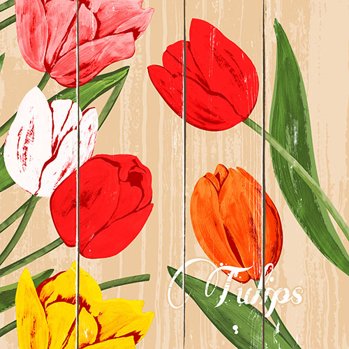 [88128] 8 x 50 Servietten, 3-lagig 1/4-Falz 40 cm x 40 cm "Blooming Tulips"