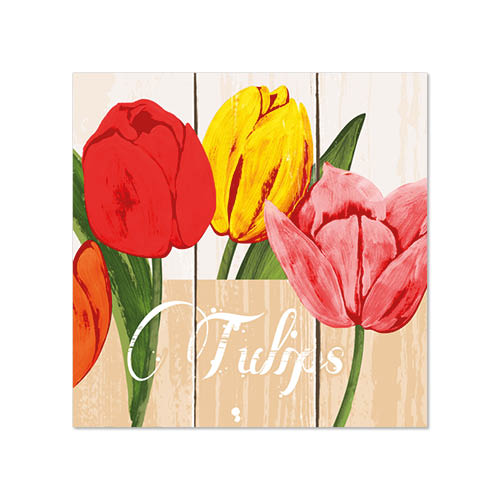 [88129] 12 x 50 Servietten, 3-lagig 1/4-Falz 25 cm x 25 cm "Blooming Tulips"