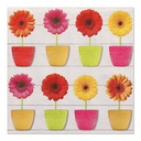 10 x 20 Servietten, 3-lagig 1/4-Falz 33 cm x 33 cm "Glowing Gerberas"