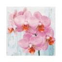 10 x 20 Servietten, 3-lagig 1/4-Falz 33 cm x 33 cm "Phalaenopsis"