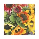 10 x 20 Servietten, 3-lagig 1/4-Falz 33 cm x 33 cm "Sunflower Bouquet"