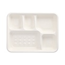 5 x 25 Menü-Trays, Zuckerrohr "pure" 5-geteilt 3,7 cm x 22 cm x 28,2 cm weiss
