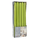 10 x 10 Leuchterkerzen Ø 2,3 cm · 25 cm birke