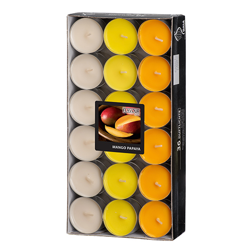 8 x 36 "GALA" Duftlichte Ø 38 mm · 17 mm pfirsich - Mango-Papaya "Ton in Ton"