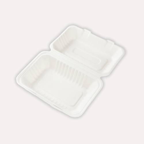 Lunchbox, Bagasse, ungeteilt