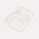 Lunchbox, Bagasse, ungeteilt